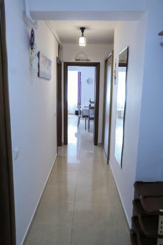 Apartament Mircea