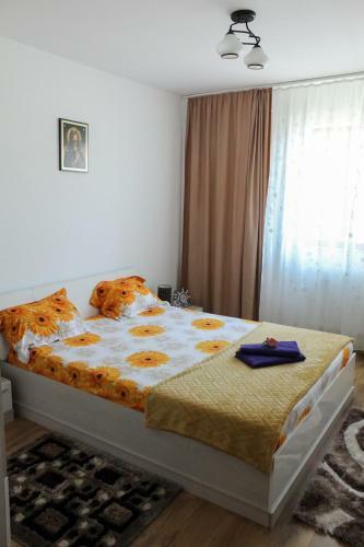 Apartament Mircea