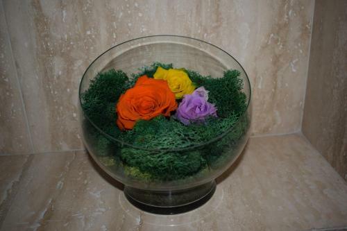 Apartament Kim