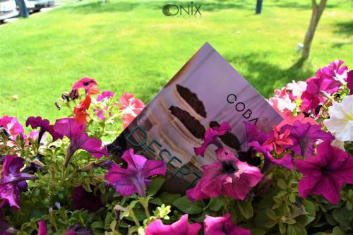 Apartamento Onix Luxury Resort