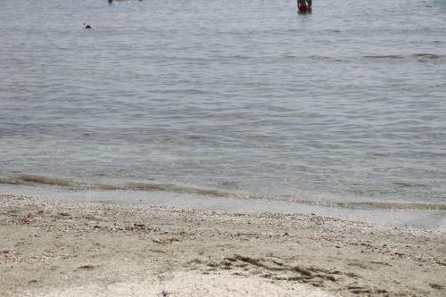Apartament Raldar Mamaia Nord