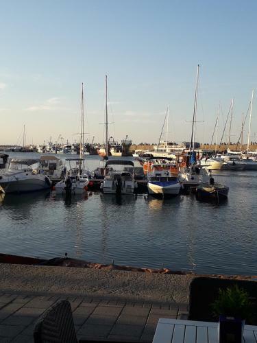 Apartament Somnila, Mamaia Nord