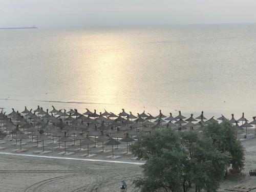 New Apart On The Beach