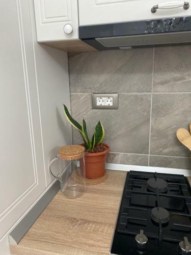 Apartamento My Space Alezzi