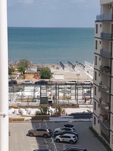 Ilinca Apartament