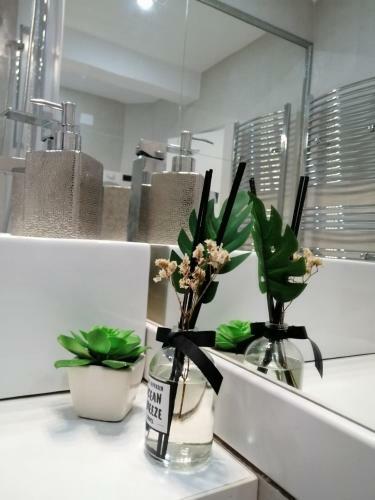 Nemo Apartment