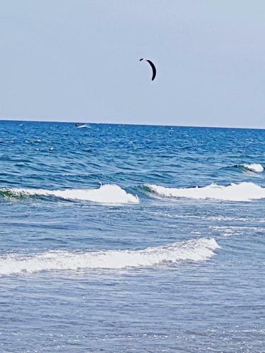 Eversea Apartment Mamaia Nord