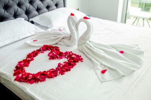 Apartamento Ed By Alezzi