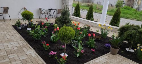 Apartamento Casa Andi