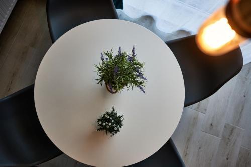 Apartamento Little Loft No8