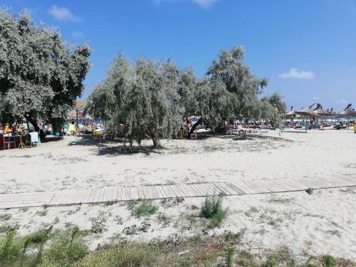 Apartamento Alina Studio Mamaia Nord