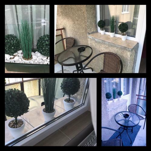 Venezia Studio Apartment