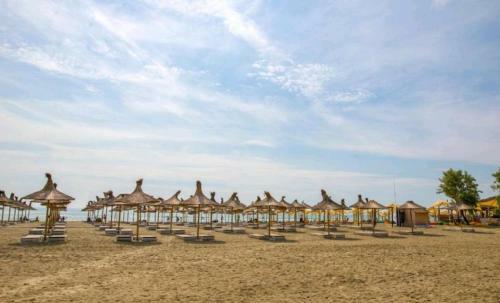 Apartamento Sunny Studio