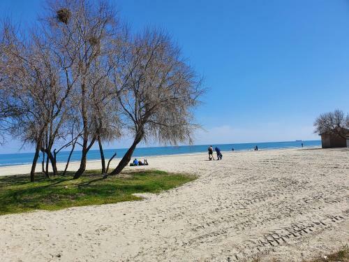 Apartament Adela Alezzi Beach