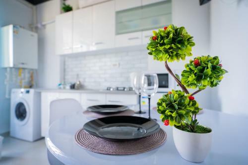 Apartament Voll