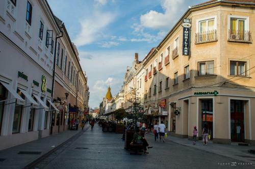 Hostal Regim Hotelier Pietonal?