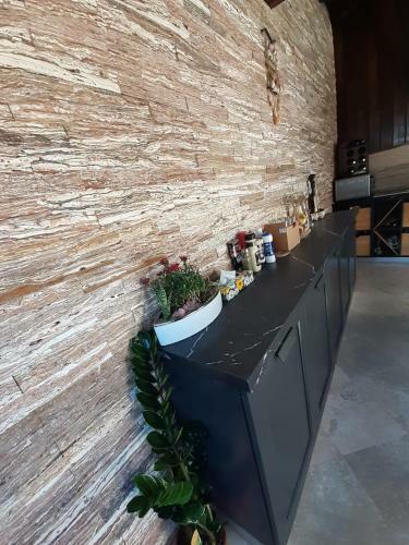 Hostal Villa Dea Dorata
