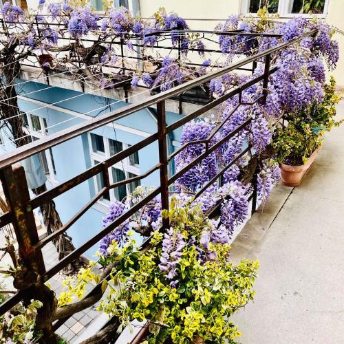 Apartament Debonton