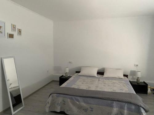 Apartament House Sasca