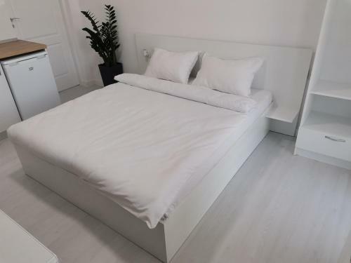 Casuta Cu Tei-lime House