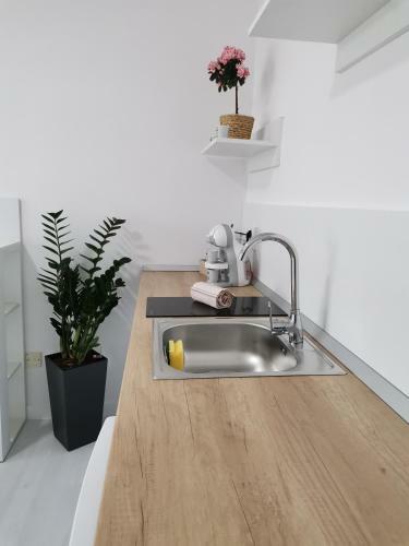 Casuta Cu Tei-lime House
