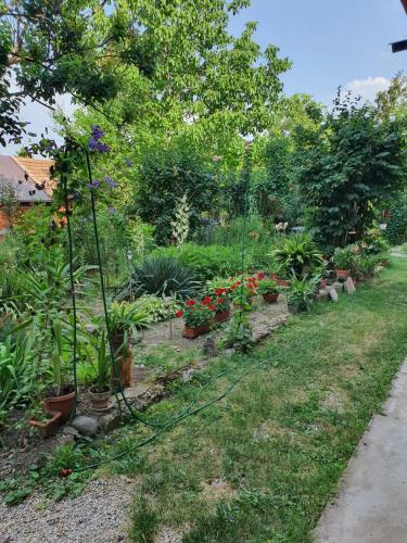 Centre Apartment Oradea