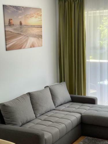 Silence Apartment 2 Oradea
