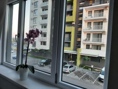 Apartament Luca P1 Oradea Prima Residence