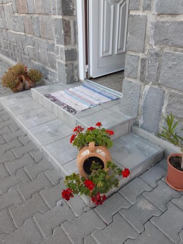 Bed & Breakfast Ibolya-imola(ungv�ri)
