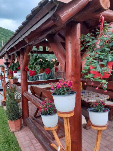 Hostal Casa de Oaspeti Cristian
