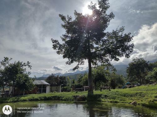 Glamping, Nido Tortolitos
