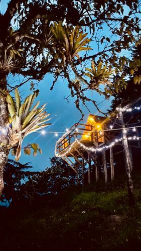 Quyca Glamping