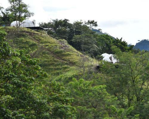 The Birder Glamping Boutique