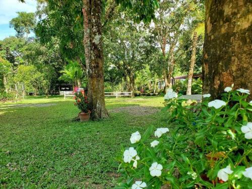 Finca Con Piscina Privada,kiosco, Wifi, Canchas, Bbq.