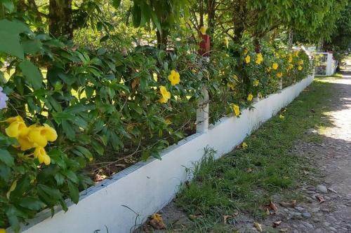 Finca Con Piscina Privada,kiosco, Wifi, Canchas, Bbq.