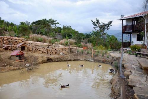 Hermoso Chalet Andino Con Vista A Las Monta�as