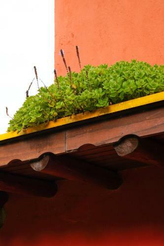 Casa Emmanness�ncia - Andar Superior