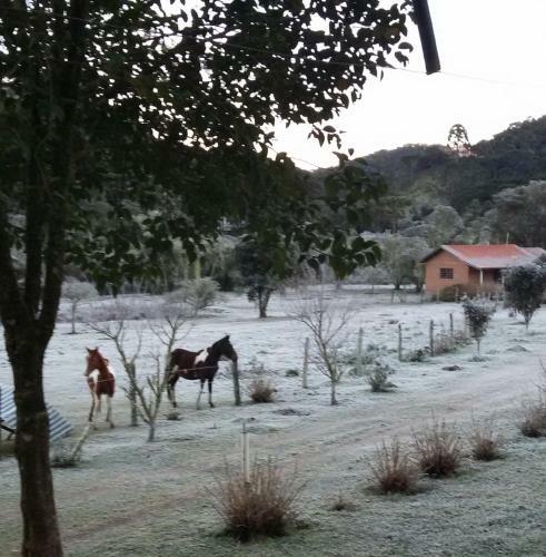 Lodge Chal� Recanto Da Natureza