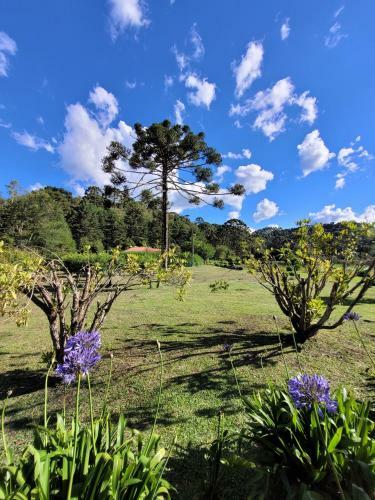 Lodge Chal� Recanto Da Natureza