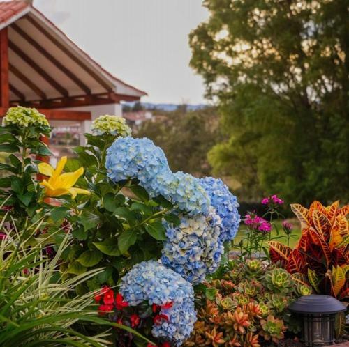Caba�a Casa de La Flores