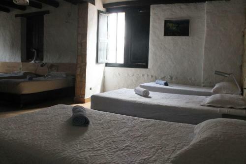Alegria Hostel