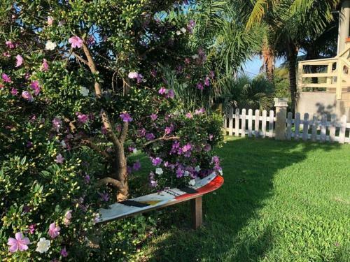 Apartamento Recanto La Ballena