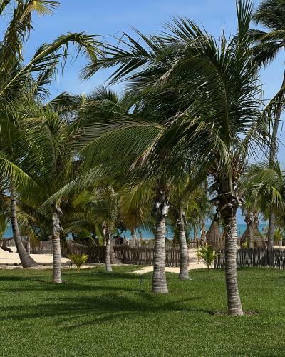 Hostal Kanaha Beach Villa