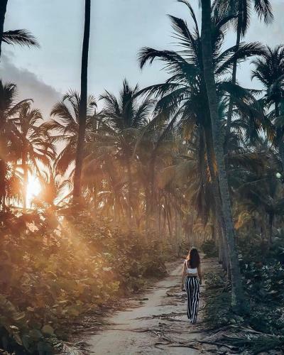 Bed & Breakfast La Casona Del Tayrona