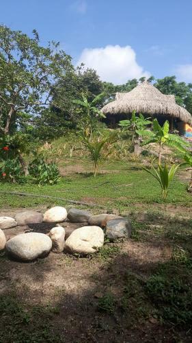 Hostal Magic Green Dentro Del Parque Tayrona