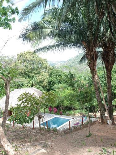 Posada Eco Hostal Monolandia