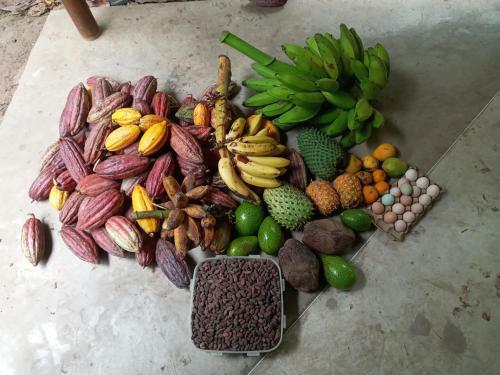 Villa Le�n Tayrona