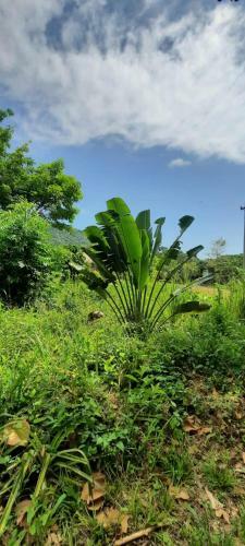 Villa Le�n Tayrona