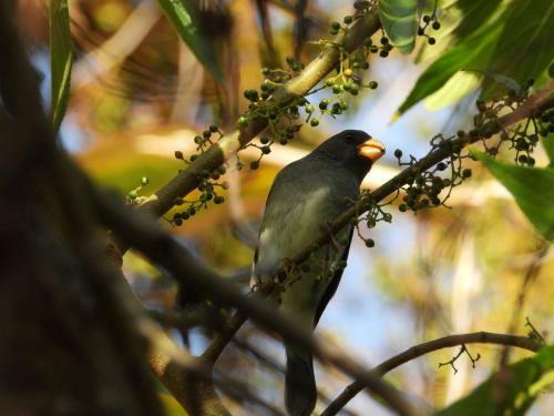 Lodge The Valley Tayrona-private Caba�as