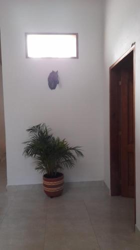 Apartamento Villa Del Socorro
